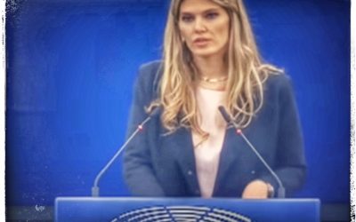 Screenshot_20221211-191638_Chrome-01